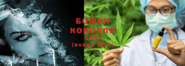 стаф Волосово
