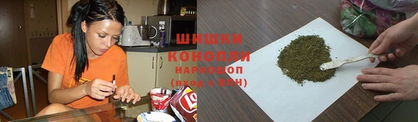 стаф Волосово