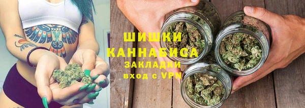стаф Волосово