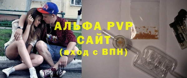 стаф Волосово
